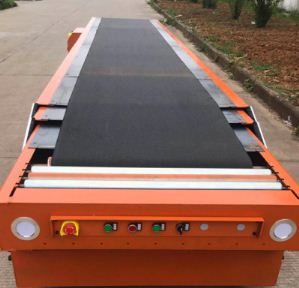 Ƥ����s�C(j��)����ע�����(xi��ng)